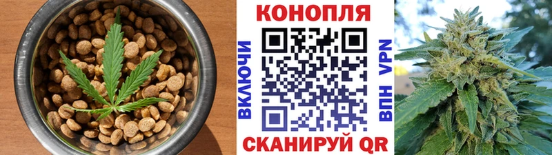 сайты даркнета телеграм  где найти наркотики  Калач  Canna-Cookies конопля 