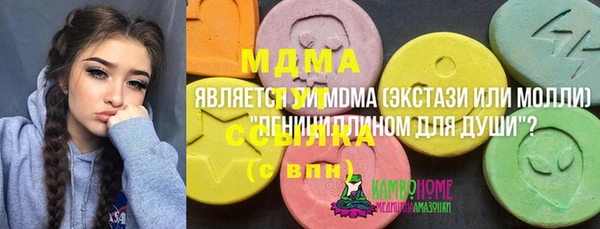 хмурый Алексин