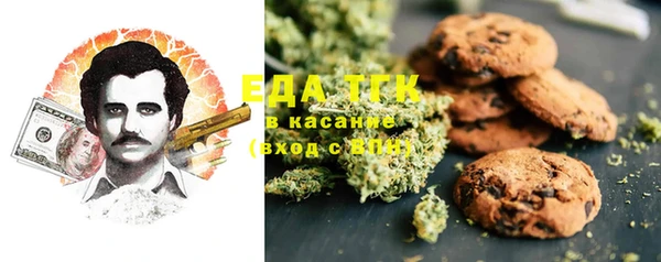 хмурый Алексин