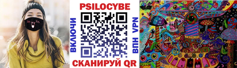 закладки  Калач  Псилоцибиновые грибы прущие грибы 