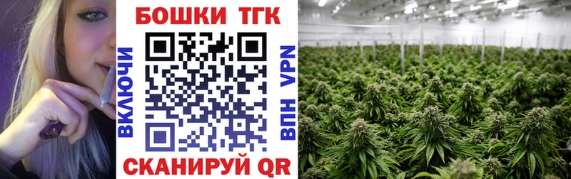 Бошки Шишки семена  MEGA   Калач 